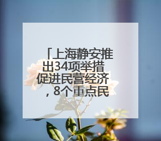 上海静安推出34项举措促进民营经济，8个重点民企项目签约