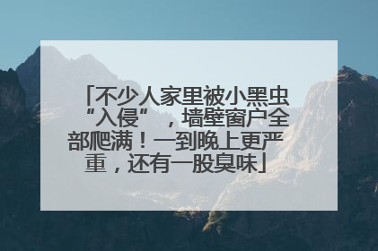 不少人家里被小黑虫“入侵”，墙壁窗户全部爬满！一到晚上更严重，还有一股臭味