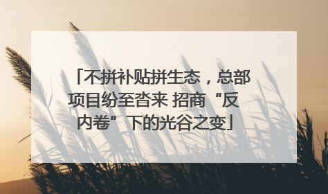 不拼补贴拼生态，总部项目纷至沓来 招商“反内卷”下的光谷之变