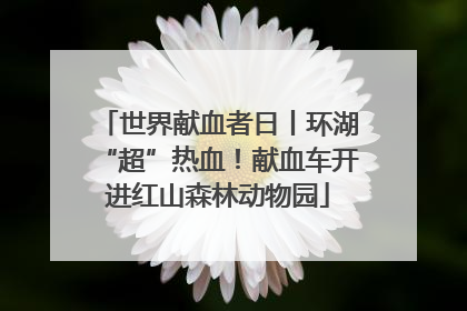 世界献血者日丨环湖“超”热血！献血车开进红山森林动物园