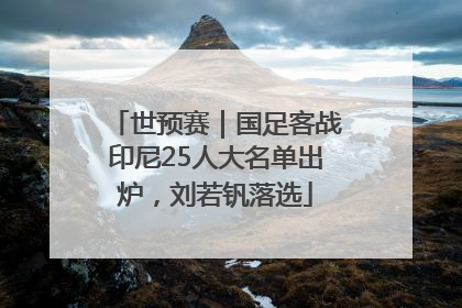 世预赛｜国足客战印尼25人大名单出炉，刘若钒落选
