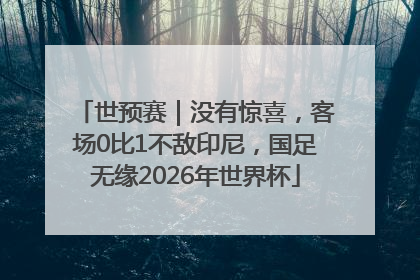 世预赛｜没有惊喜，客场0比1不敌印尼，国足无缘2026年世界杯