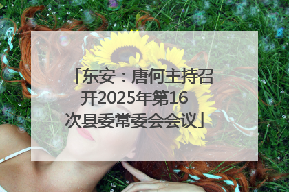 东安：唐何主持召开2025年第16次县委常委会会议