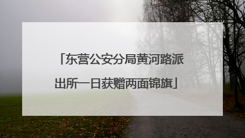 东营公安分局黄河路派出所一日获赠两面锦旗