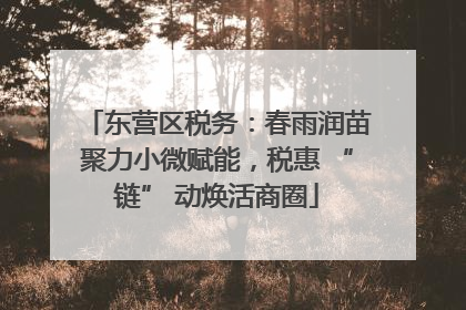东营区税务：春雨润苗聚力小微赋能，税惠 “链” 动焕活商圈