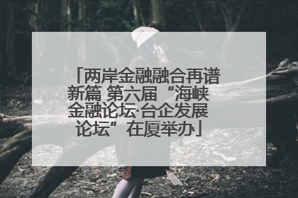 两岸金融融合再谱新篇 第六届“海峡金融论坛·台企发展论坛”在厦举办