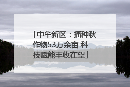 中牟新区：播种秋作物53万余亩 科技赋能丰收在望