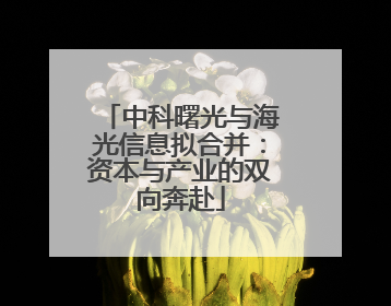 中科曙光与海光信息拟合并：资本与产业的双向奔赴