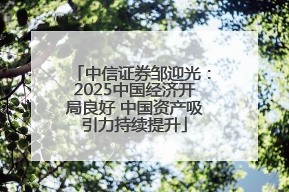 中信证券邹迎光：2025中国经济开局良好 中国资产吸引力持续提升