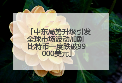 中东局势升级引发全球市场波动加剧 比特币一度跌破99000美元