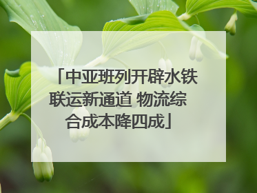 中亚班列开辟水铁联运新通道 物流综合成本降四成