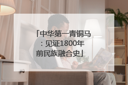 中华第一青铜马：见证1800年前民族融合史