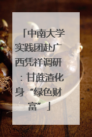 中南大学实践团赴广西凭祥调研：甘蔗渣化身“绿色财富”