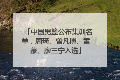 中国男篮公布集训名单，周琦、曾凡博、雷蒙、廖三宁入选