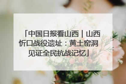 中国日报看山西｜山西忻口战役遗址：黄土窑洞见证全民抗战记忆