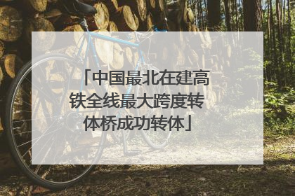 中国最北在建高铁全线最大跨度转体桥成功转体