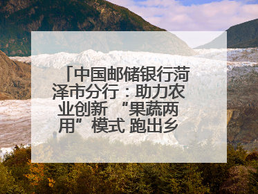 中国邮储银行菏泽市分行：助力农业创新 “果蔬两用”模式 跑出乡村振兴加速度