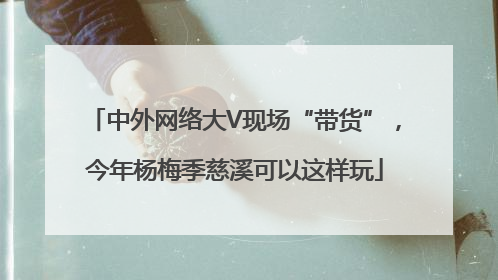 中外网络大V现场“带货”，今年杨梅季慈溪可以这样玩