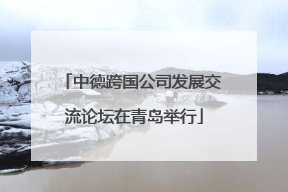 中德跨国公司发展交流论坛在青岛举行