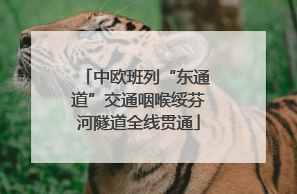中欧班列“东通道”交通咽喉绥芬河隧道全线贯通