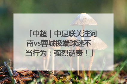 中超｜中足联关注河南vs蓉城极端球迷不当行为：强烈谴责！