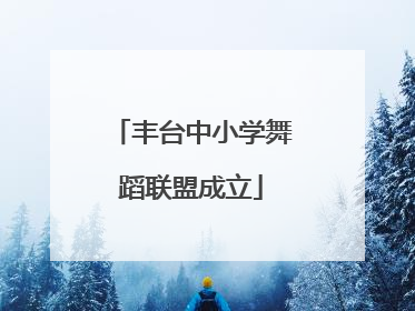丰台中小学舞蹈联盟成立