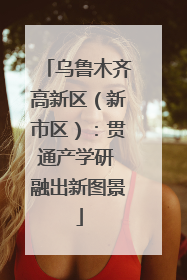 乌鲁木齐高新区（新市区）：贯通产学研 融出新图景
