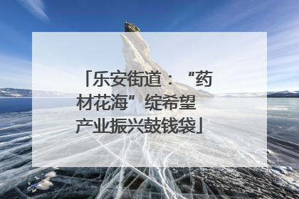 乐安街道：“药材花海”绽希望 产业振兴鼓钱袋