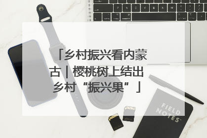 乡村振兴看内蒙古｜樱桃树上结出乡村“振兴果”