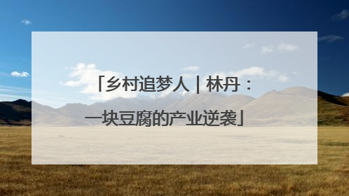 乡村追梦人｜林丹：一块豆腐的产业逆袭
