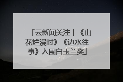 云新闻关注丨《山花烂漫时》《边水往事》入围白玉兰奖