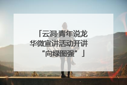 云洞·青年说龙华微宣讲活动开讲“向绿图强”