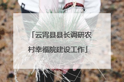云霄县县长调研农村幸福院建设工作