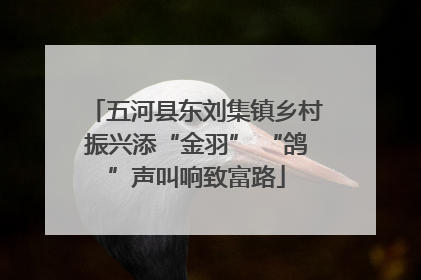 五河县东刘集镇乡村振兴添“金羽” “鸽”声叫响致富路