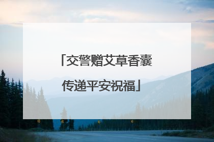 交警赠艾草香囊 传递平安祝福