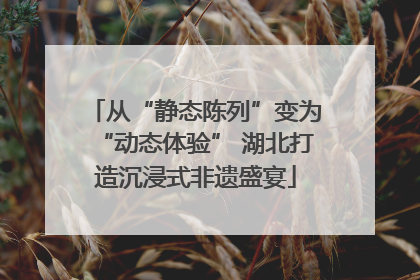 从“静态陈列”变为“动态体验” 湖北打造沉浸式非遗盛宴