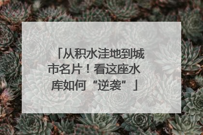 从积水洼地到城市名片！看这座水库如何“逆袭”