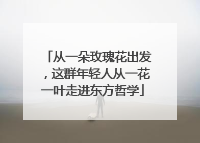 从一朵玫瑰花出发，这群年轻人从一花一叶走进东方哲学