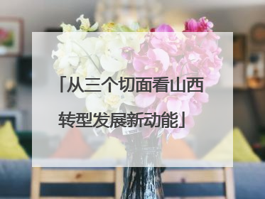 从三个切面看山西转型发展新动能