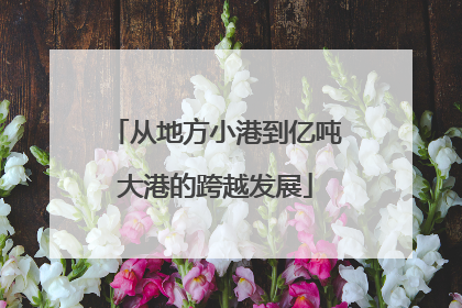 从地方小港到亿吨大港的跨越发展
