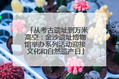 从考古遗址到万米高空：金沙遗址博物馆举办系列活动迎接文化和自然遗产日