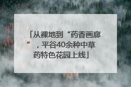 从裸地到“药香画廊”，平谷40余种中草药特色花园上线