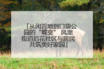 从闲置地到口袋公园的“蝶变” 凤里街道后花社区与居民共筑美好家园