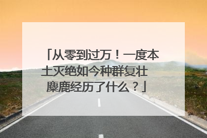 从零到过万！一度本土灭绝如今种群复壮 麋鹿经历了什么？