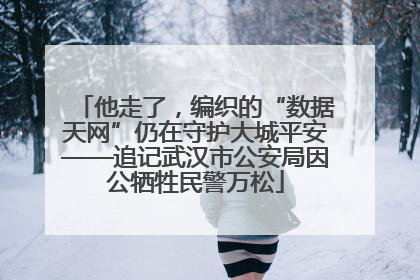 他走了，编织的“数据天网”仍在守护大城平安——追记武汉市公安局因公牺牲民警万松