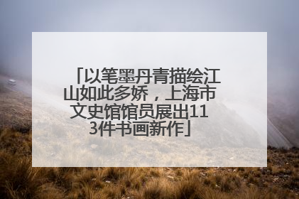 以笔墨丹青描绘江山如此多娇，上海市文史馆馆员展出113件书画新作