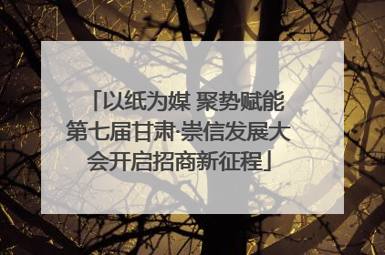 以纸为媒 聚势赋能 第七届甘肃·崇信发展大会开启招商新征程