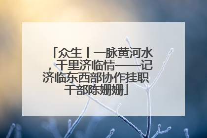 众生丨一脉黄河水，千里济临情——记济临东西部协作挂职干部陈姗姗
