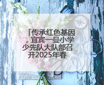 传承红色基因，宜宾一曼小学少先队大队部召开2025年春期工作总结会