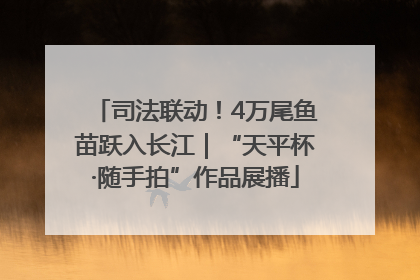 司法联动！4万尾鱼苗跃入长江｜“天平杯·随手拍”作品展播